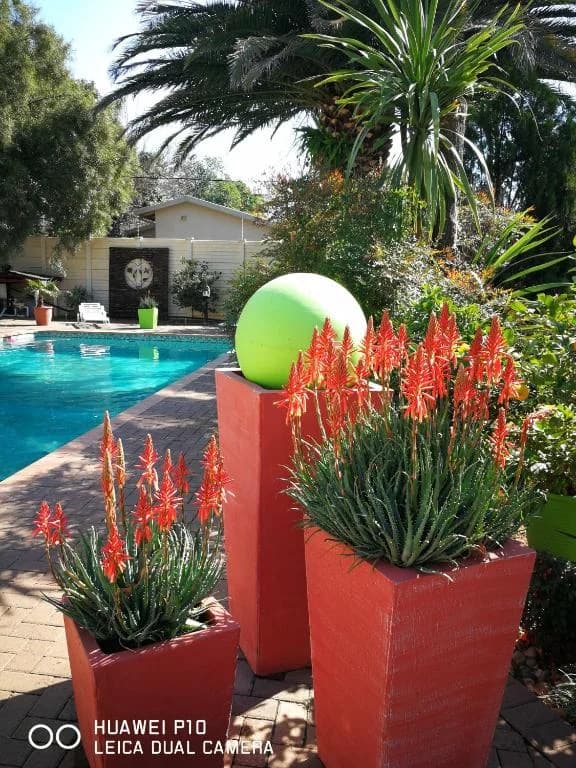 Chic Breeze — Bloemfontein, ZA cover photo