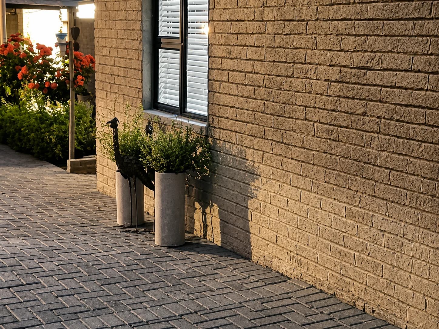 Flora — Bethlehem, ZA cover photo