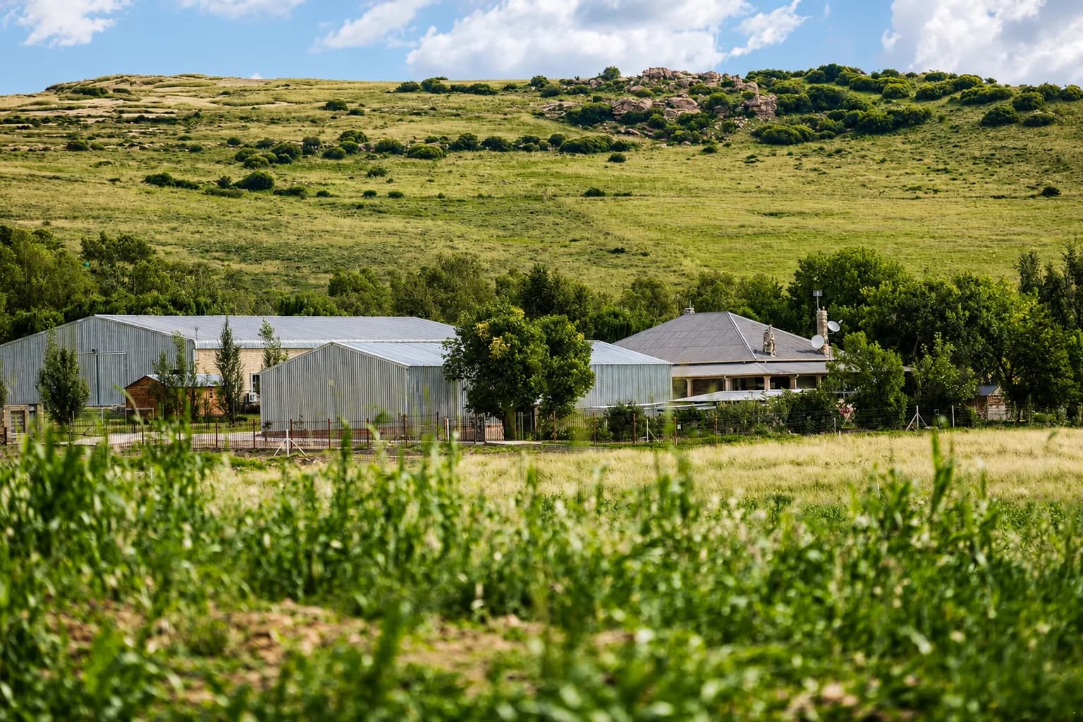 Omdraai Guest Farm and Venue